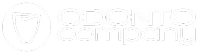 Logo Footer